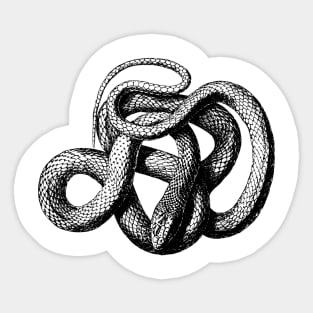 snake Sticker